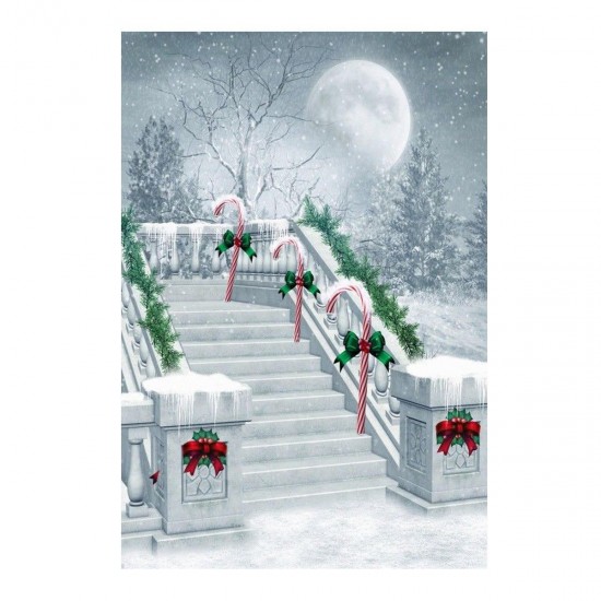 3x5FT Christmas Snowy Street Ladder Photography Backdrop Studio Prop Background
