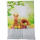 3x5FT Vinyl Bunny Fairy Tale Photography Backdrop Background Studio Prop