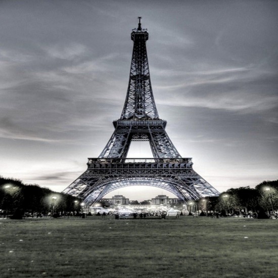 3x5FT Vinyl Eiffel Tower Background Photo Studio Prop Photography backdrop