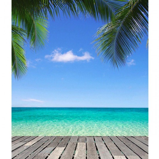 3x5FT Vinyl Summer Blue Sky Beach Coco Photography Backdrop Background Studio Prop