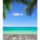 3x5FT Vinyl Summer Blue Sky Beach Coco Photography Backdrop Background Studio Prop