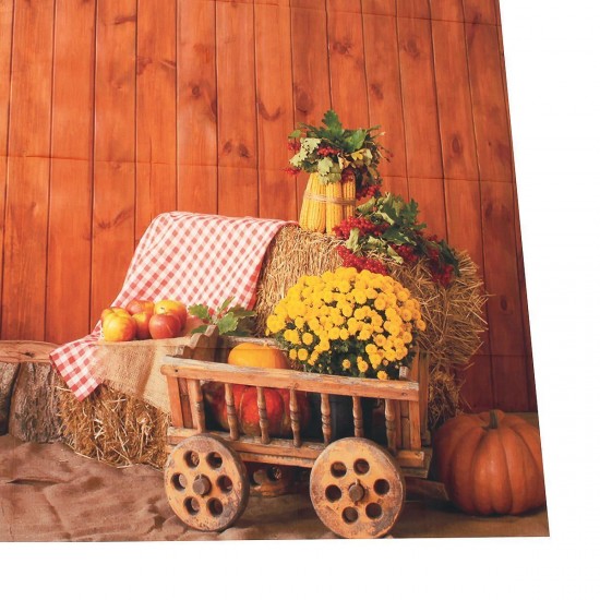 5x7FT Vinyl Autumn Countryside Pumpkin Photography Backdrop Background Studio Prop