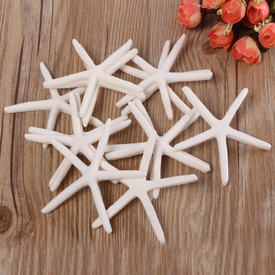 12Pcs Beautiful White Finger Starfish 3-4 inch Beach Wedding Coastal Decorations