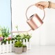 1300ML Watering Can Indoor Garden Plant Flower Spray Irrigation Stainless Steel Pot