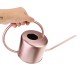 1300ML Watering Can Indoor Garden Plant Flower Spray Irrigation Stainless Steel Pot