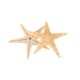 20Pcs Mini Starfish Sea Star Shell Landscape Beach Wedding DIY Crafts Making Decorations