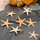 20Pcs Mini Starfish Sea Star Shell Landscape Beach Wedding DIY Crafts Making Decorations