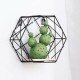 20cm Hexagon Wall Shelf Rack Twill Trellis Storage Holders Wooden Rack Holder Home Decor Kitchen