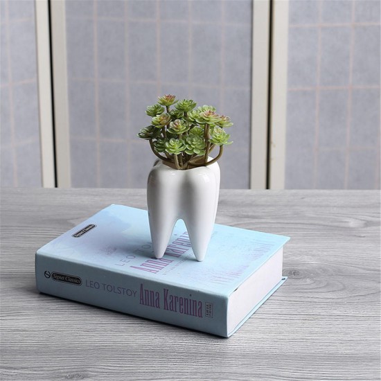 2Pcs Ceramic Plant Flower Pot Succulent Garden Cute Teeth White Home Decorative Storage Container