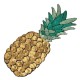 2Pcs Sequined Pineapple Embroidery Iron On Patch Badge Sew Craft Clothes Applique Decorations