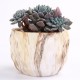 4Pcs/set Ceramic Natural Stone Style Flower Succulent Planting Pot Garden Decor