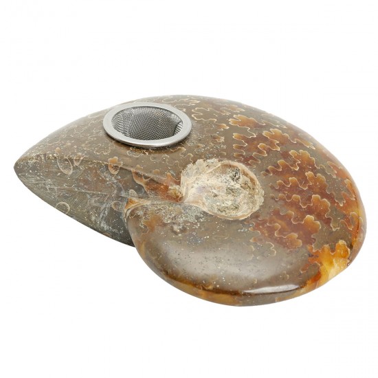 65MM Natural Ammonite Fossil Quartz Crystal Stone Pipe Healing With Carb Gifts Decorations