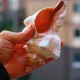 9-20cm Natural Trumpet Sea Shells Conch Snails Home Ornament Decorations