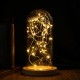 9*20cm Glass Dome Bell Jar Cloche Display Wooden Base With Fairy LED Lights Decorations