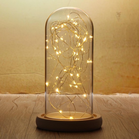 9*20cm Glass Dome Bell Jar Cloche Display Wooden Base With Fairy LED Lights Decorations