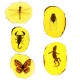 Amber Fossil Insects Dragonfly Manual Polishing Insect Specimen Pendant Craft Decorations