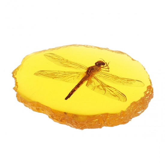 Amber Fossil Insects Dragonfly Manual Polishing Insect Specimen Pendant Craft Decorations