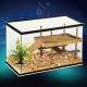 Aquarium Fish Tank Turtle Reptile Basking Terrace Island Platform House Dock Pier