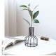 Black/Gold Nordic Style Iron Hydroponic Flower Lantern-shaped Vase Decoration