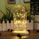 Clear Glass Display Dome Cloche Bell Jar Wooden Base DIY Decorations With 20 LED Fairy String Light