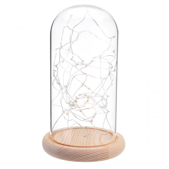 Clear Glass Display Dome Cloche Bell Jar Wooden Base DIY Decorations With 20 LED Fairy String Light