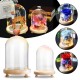 Clear Glass Display Flower Dome Bell Jar Cloche Wooden Base With LED Light Room Decorations