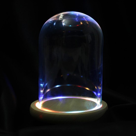 Clear Glass Display Flower Dome Bell Jar Cloche Wooden Base With LED Light Room Decorations