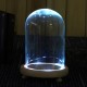 Clear Glass Display Flower Dome Bell Jar Cloche Wooden Base With LED Light Room Decorations