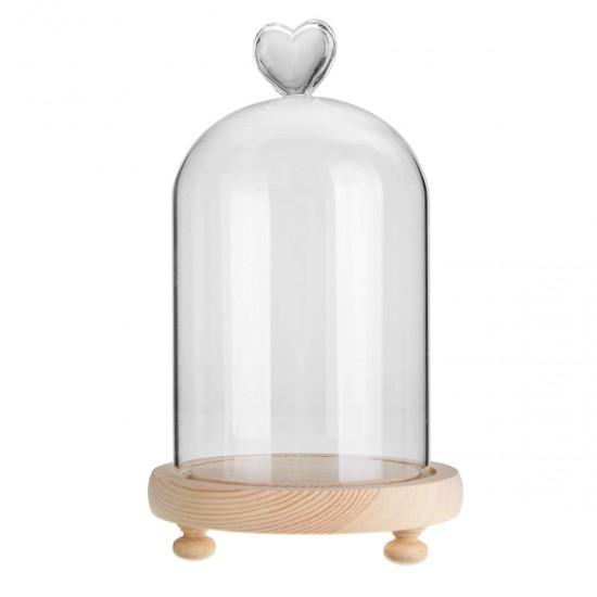 Clear Glass Display Flower Dome Bell Jar Cloche Wooden Base With LED Light Room Decorations