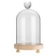 Clear Glass Display Flower Dome Bell Jar Cloche Wooden Base With LED Light Room Decorations