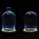 Clear Glass Display Flower Dome Bell Jar Cloche Wooden Base With LED Light Room Decorations