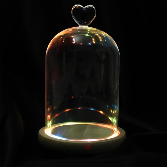 Clear Glass Display Flower Dome Bell Jar Cloche Wooden Base With LED Light Room Decorations