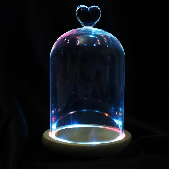 Clear Glass Display Flower Dome Bell Jar Cloche Wooden Base With LED Light Room Decorations