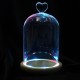 Clear Glass Display Flower Dome Bell Jar Cloche Wooden Base With LED Light Room Decorations