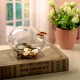 Clear Glass Piggy Bank Coin Money Cash Collectible Saving Box Jar Gift Pig