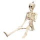 Creepy Human Skeleton Skull Figurine Scary Halloween Skeleton Prop Party Decorations