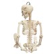 Creepy Human Skeleton Skull Figurine Scary Halloween Skeleton Prop Party Decorations