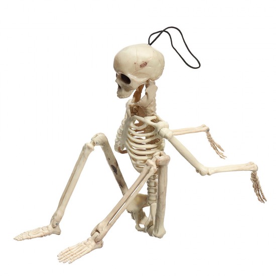 Creepy Human Skeleton Skull Figurine Scary Halloween Skeleton Prop Party Decorations