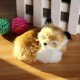 Cute Plush Stuffed Little Animal Sitting Sleeping Simulation Toy Animal Birthday Gift Home Decorations