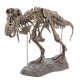 DIY Colour 70Cm T Rex Tyrannosaurus Rex Skeleton Dinosaur Animal Collector Model Decorations