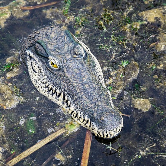 Floating Crocodile Head Water Decoy Garden Pond Art Decorations for Goose Predator Heron Duck Control