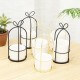 Flower Shelf Rack Versatile Ceramic Vase Stand Metal Planter Iron Shelf for Cactus