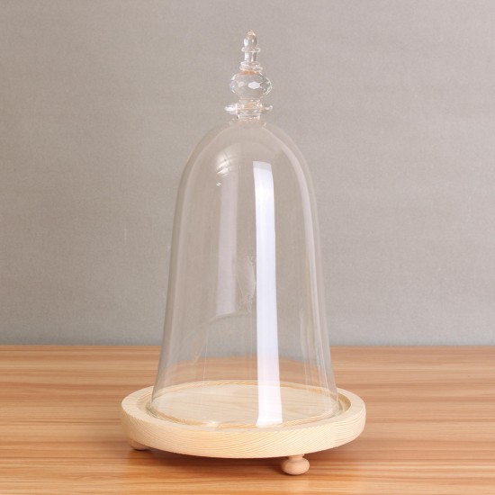 Glass Display Dome Cloche Box with Wooden Base Inspired By Beauty and the Beast