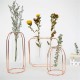 Glass Vase Flower Holder Plant Container Metal Line for Decorations