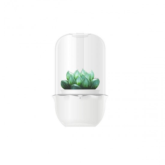 USB WiFi Intelligent Glass Succulent Plant Container Flower Pot Ecological Bottle LED Light Water Reminder
