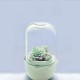 USB WiFi Intelligent Glass Succulent Plant Container Flower Pot Ecological Bottle LED Light Water Reminder