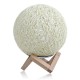 USB Wooden Rattan Table Light Dimming Desk Bedroom Night LED Ball Home Decorations