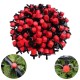 100pcs Adjustable Irrigation Drippers Sprinklers 1/4 Inch Emitter Dripper Micro Drip Irrigation Sprinklers for Garden Watering System