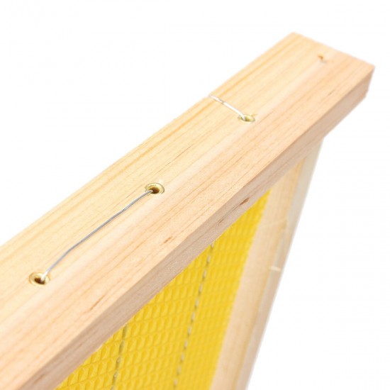 10Pcs Bees Wax Foundation Sheets Wood Beekeeping Pine Beehive Frame 49X23.5 cm