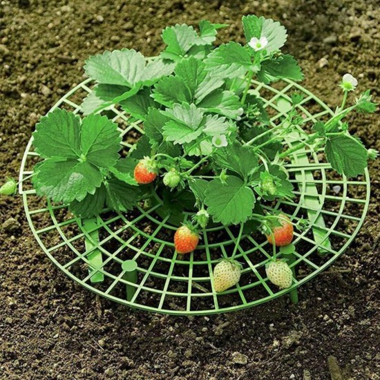 30*30CM Strawberry Growing Support Garden Plant Holder